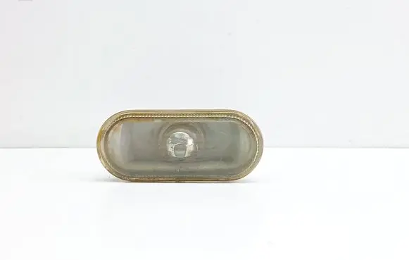Front fender indicator light