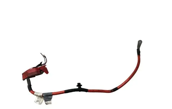 BMW X5 G05 Positive cable (battery) 8800114
