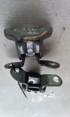 Toyota Avensis T270 Rear door hinge set 