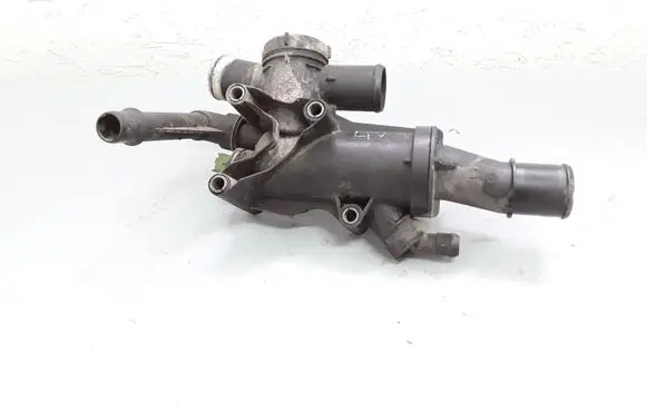 Thermostat/thermostat housing