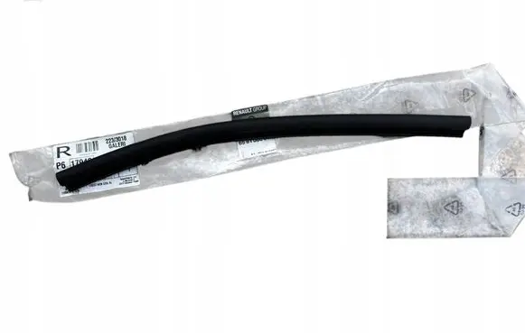 Renault Laguna III Engine compartment rubber 658100004R