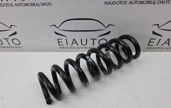 Rear coil spring
