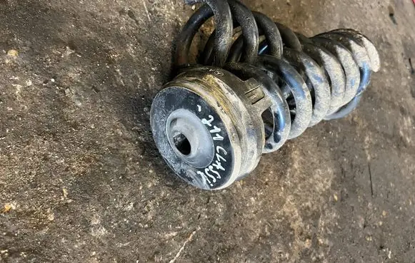 Rear coil spring