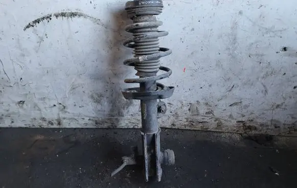 Opel Insignia A Front shock absorber with coil spring 13319745
