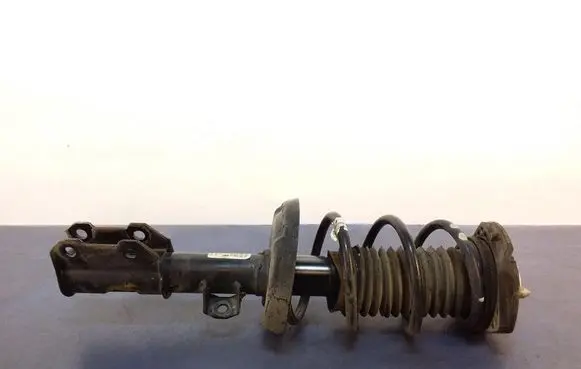 Opel Astra K Front shock absorber with coil spring 39039563