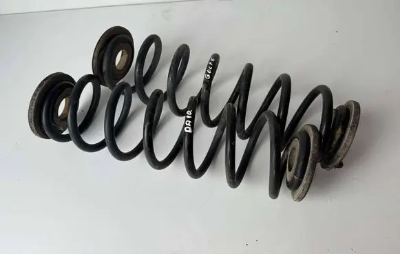 Rear coil spring