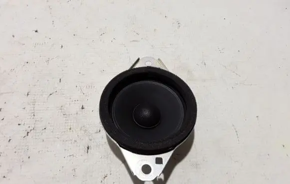 Panel speaker
