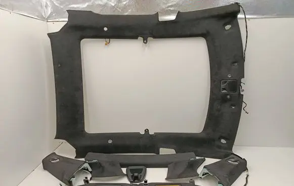 Tesla Model S Headlining set 104593802C 103752301P 101378600A