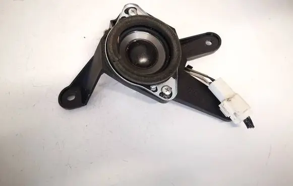 Front door speaker
