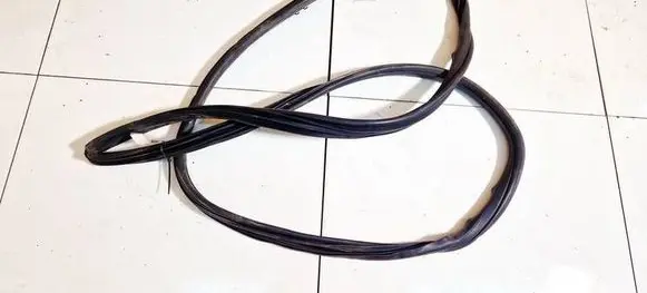 Dodge Grand Caravan Rubber seal front coupe door 