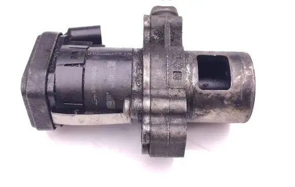 EGR valve