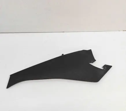 Rear/tail light trim molding
