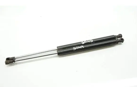 Tailgate/trunk strut/damper