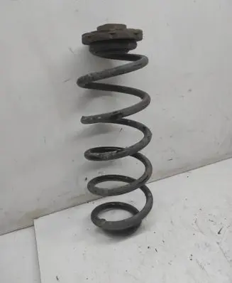Rear coil spring