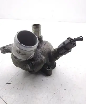 Thermostat/thermostat housing