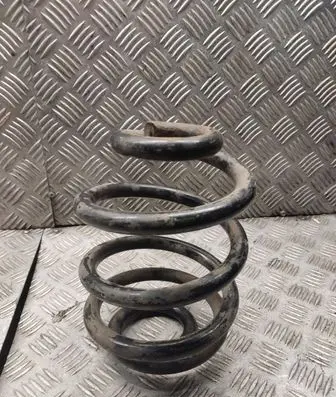 Rear coil spring