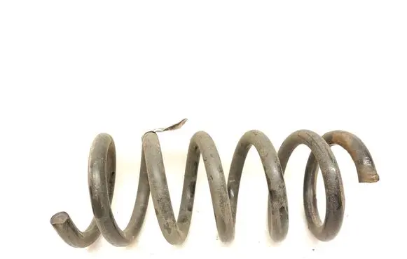 Ford Mustang VI Rear coil spring