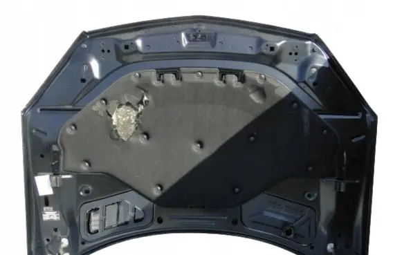 Engine bonnet/hood