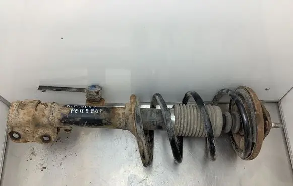 Peugeot 4007 Front shock absorber with coil spring