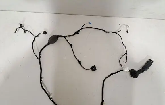BMW X3M F97 Rear door wiring loom 5A49005