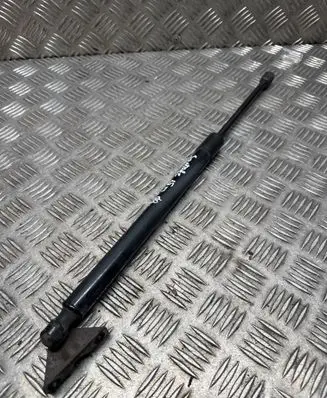 Tailgate/trunk strut/damper