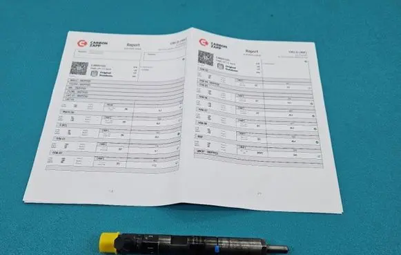 Renault Megane II Fuel injector EJBR05102D IMPRK1439383