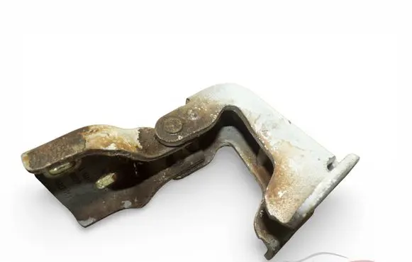 Renault Trafic II (X83) Front door lower hinge 