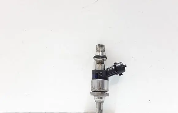 Porsche Cayenne (9PA) Fuel injector 94860523002 103507506