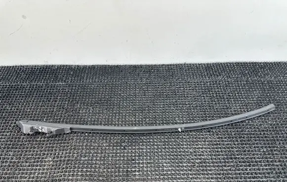 Renault Scenic IV - Grand scenic IV Rubber seal front door (on door)