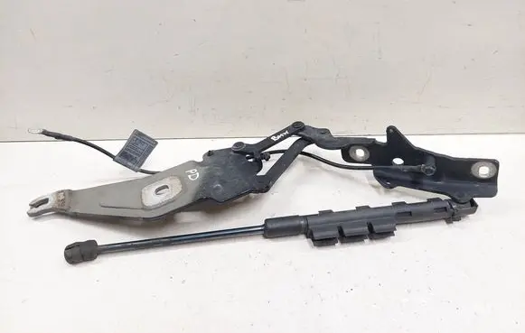 BMW X6 E71 Engine bonnet/hood hinges 720862801 9188853 918885301