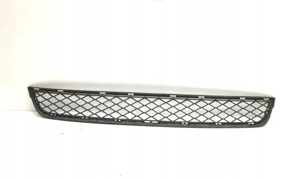 BMW X3 F25 Front bumper lower grill