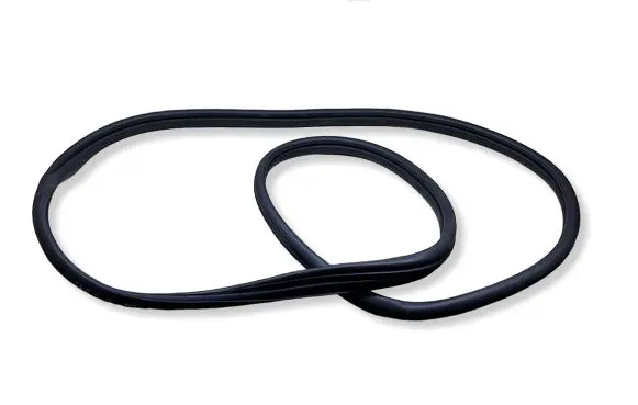 Hyundai Ioniq 5 Rear door rubber seal (on body) 