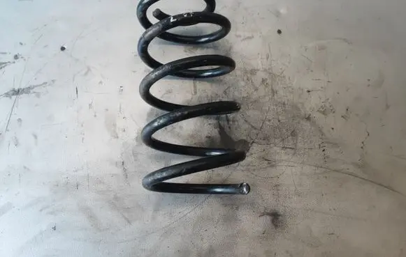 Hyundai Santa Fe Rear coil spring