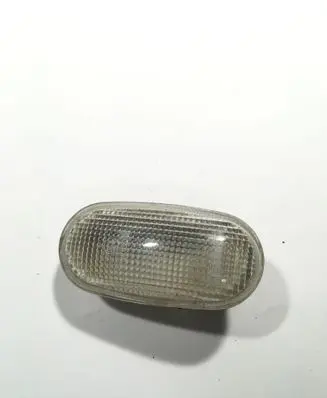 Front fender indicator light