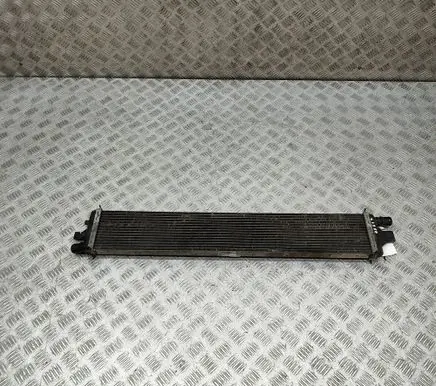 Renault Master III Coolant radiator 214C10001R T1077003