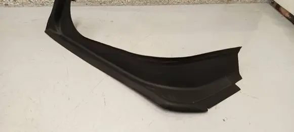 Rear/tail light trim molding