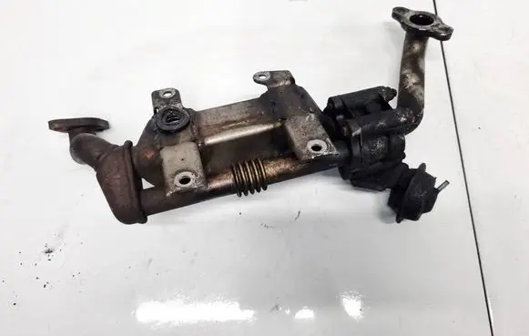 EGR valve cooler