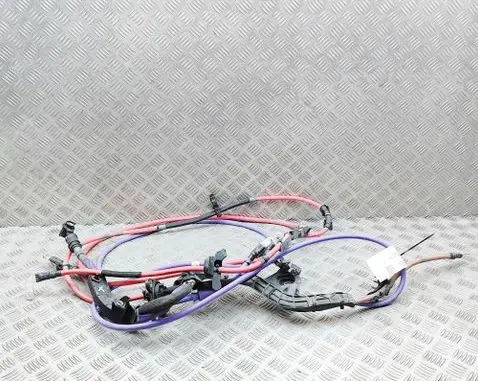 BMW X2 U10 Other wiring loom