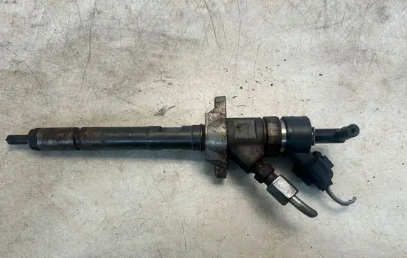 Citroen C4 I Fuel injector 0445110239 606680