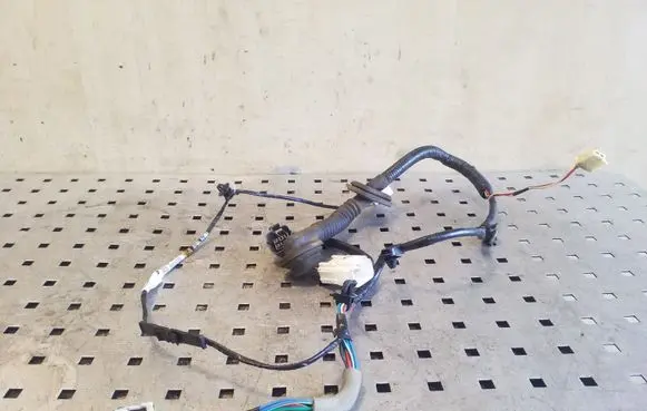Rear door wiring loom