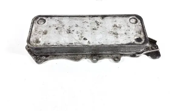 Oil filter mounting bracket