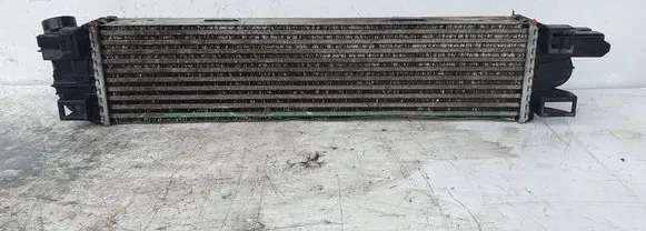 Renault Trafic III (X82) Intercooler radiator 93868350