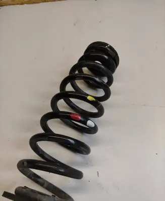 Hyundai Kona I Rear coil spring