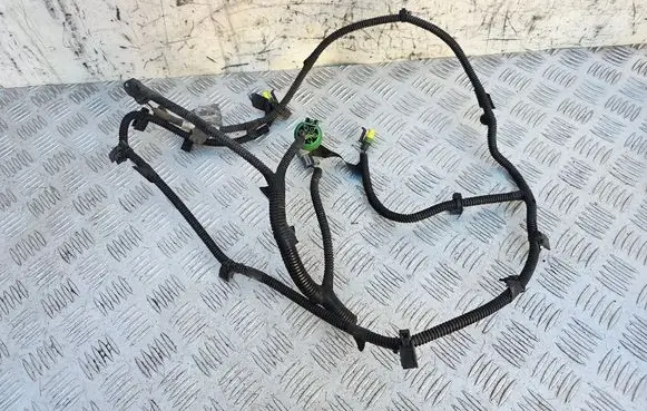 Other wiring loom