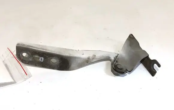 Engine bonnet/hood hinges