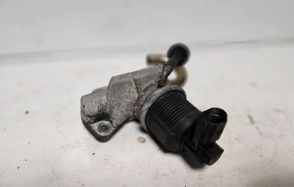 Volkswagen Golf V EGR valve 036131503 72824804 041127