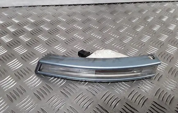 Volkswagen PASSAT B6 Front indicator light 3c0953041e