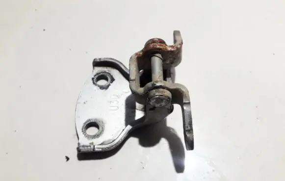 Rear door lower hinge