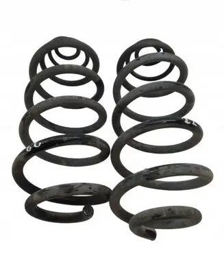 Peugeot Expert Rear coil spring 
