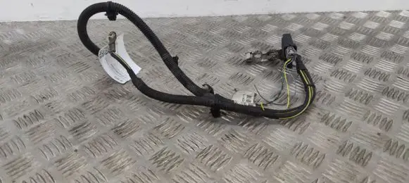 Nissan Juke I F15 Negative earth cable (battery) 24080